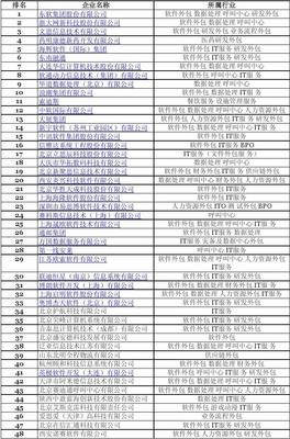 2009年中国软件服务外包企业竞争力排名与分析